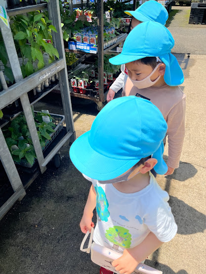 食育活動　夏野菜栽培に向けて