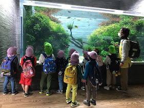 【森下五丁目園】すみだ水族館へ遠足に行きました♪