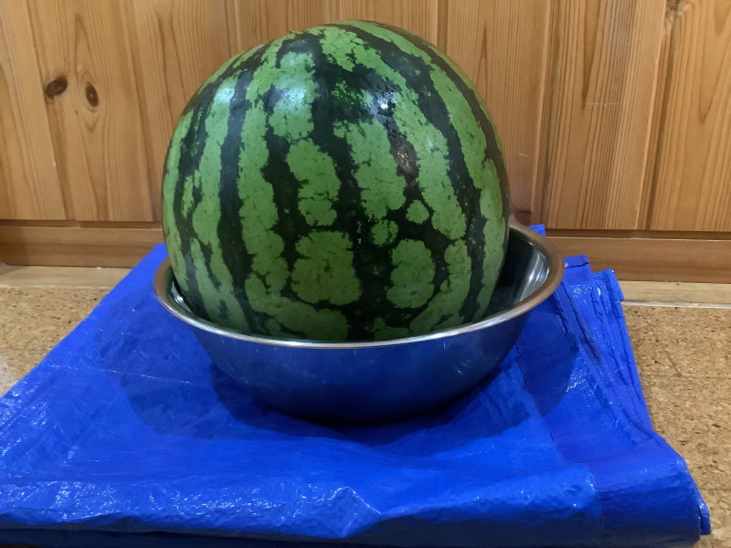 すいか割り