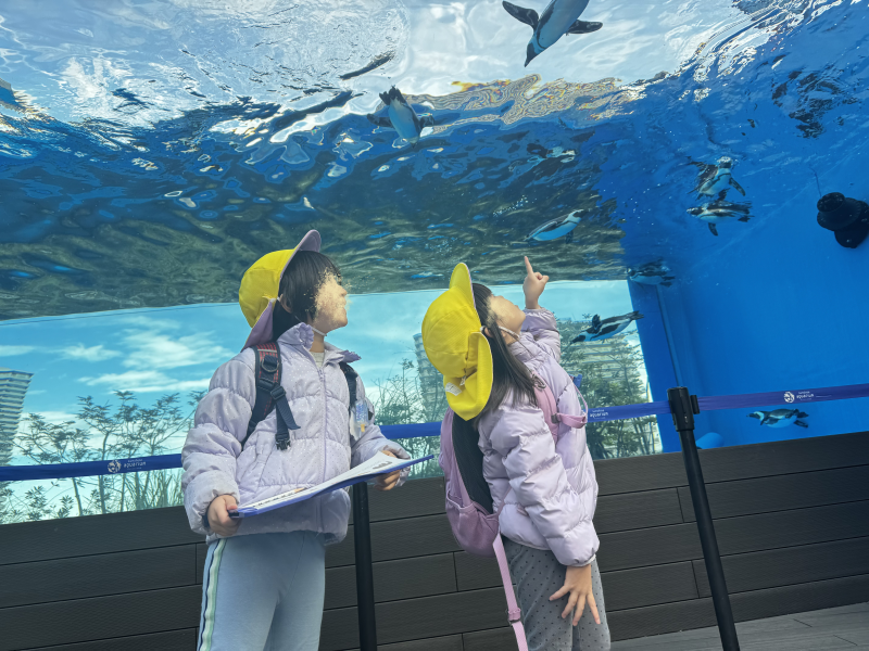 園外保育　サンシャイン水族館