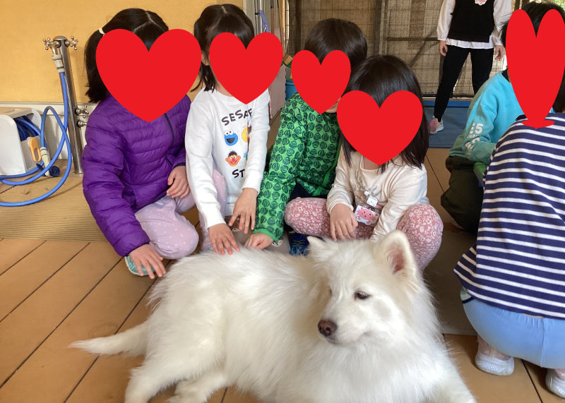 愛住町園に移動動物園が来てくれました