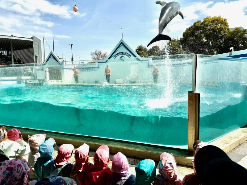 お別れ遠足：しながわ水族館