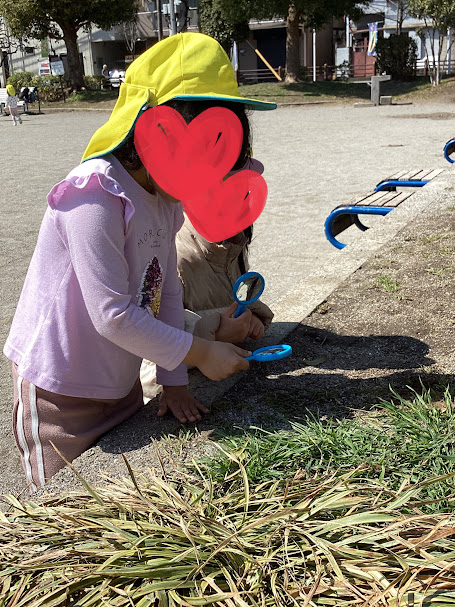 ～探求活動～