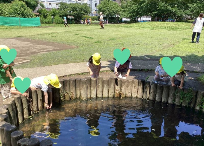池のある公園