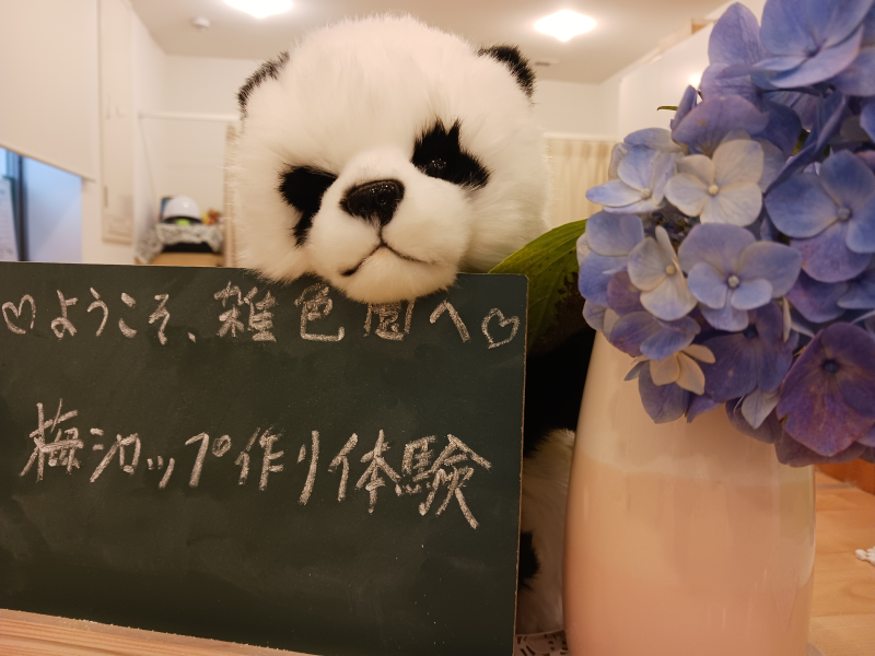 【梅仕事♡】