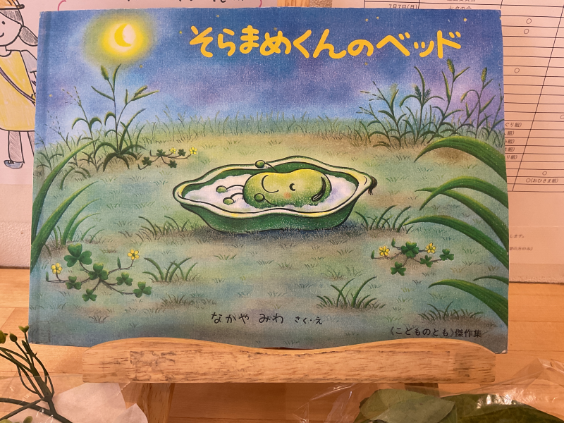 子どもたちの小さな畑