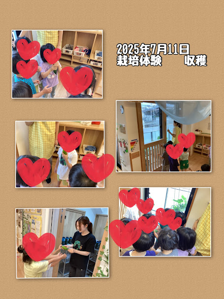 ～収穫～