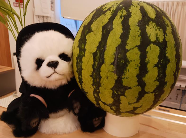 【すいか割り☆】