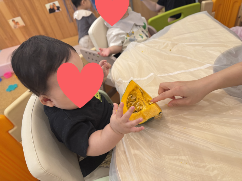 かぼちゃを触ってみよう！