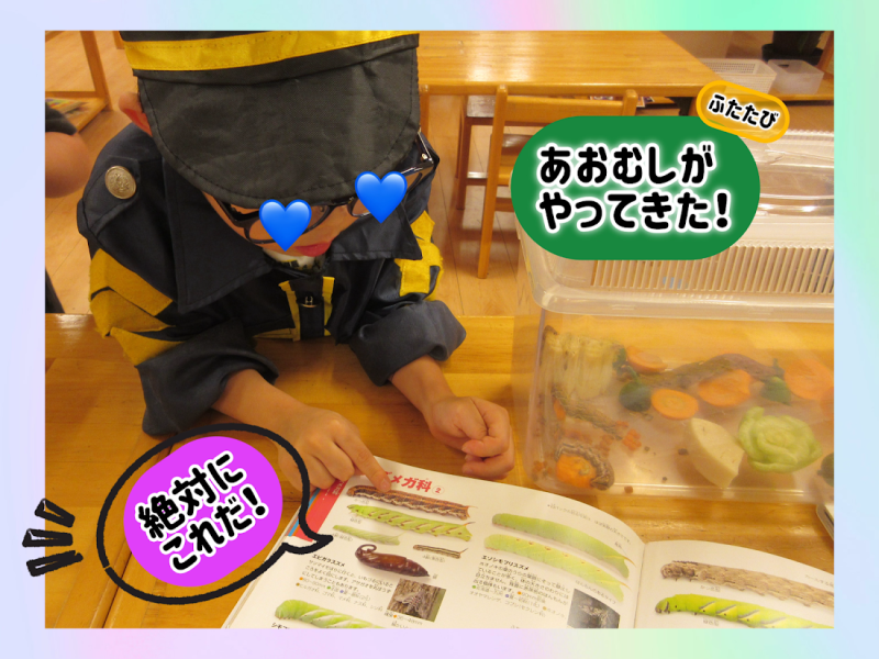 あおむしがやってきた！