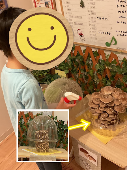 ～きのこ栽培～
