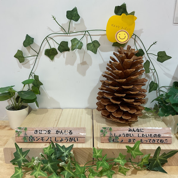 ～「季節を感じるもの」紹介～