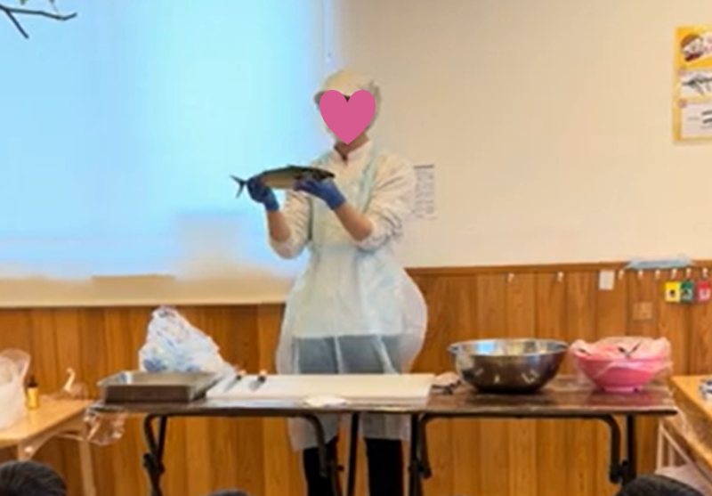 サバの解体を見よう！